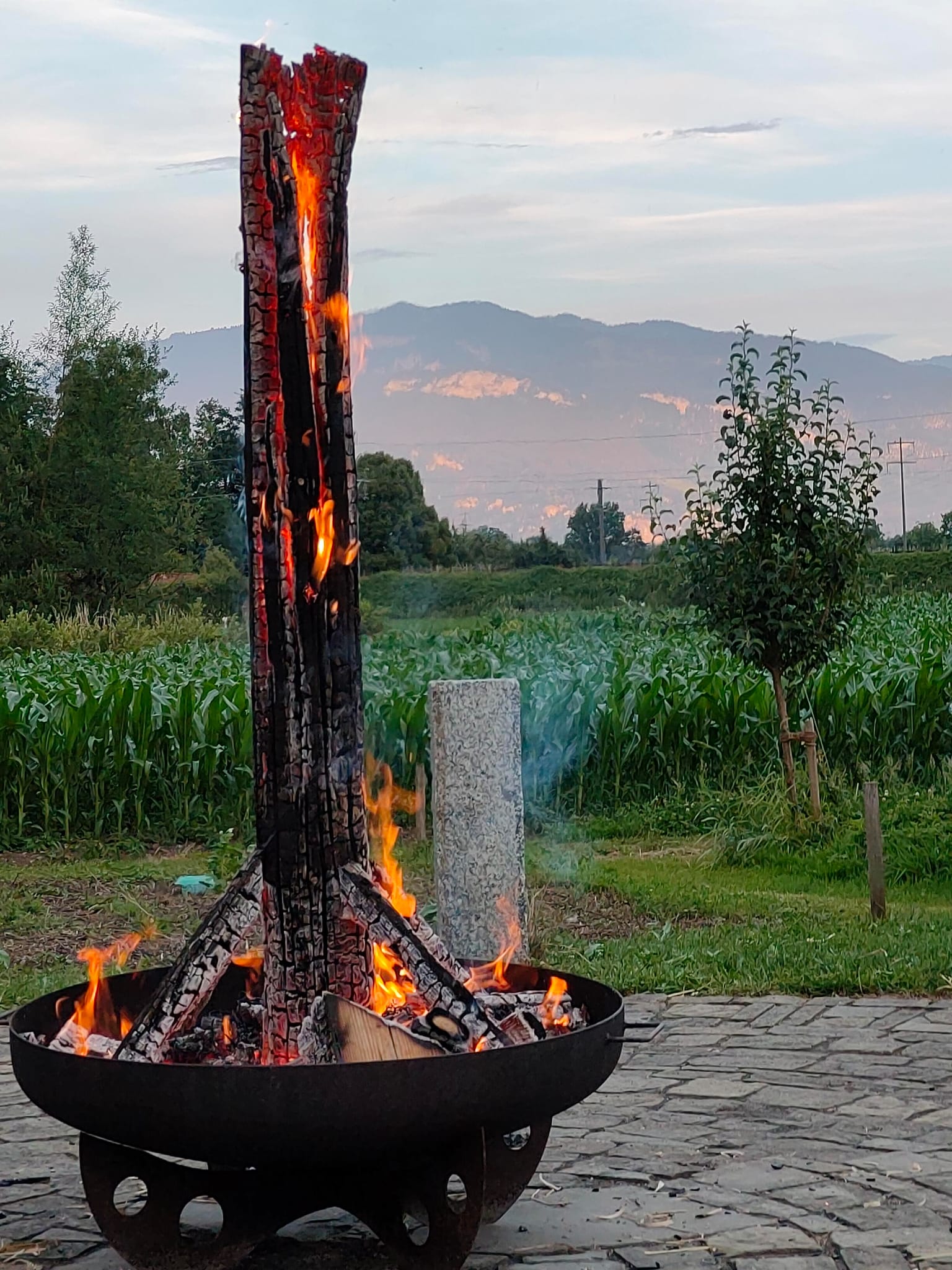 Feuer%202026-06-22%20
